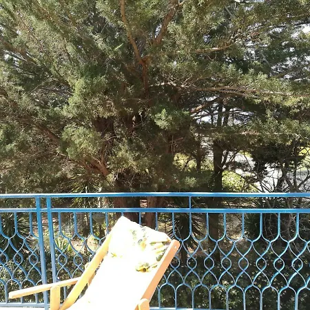 Sil سانت إيزيدورو